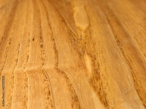 Wood texture. Hardwood fibers. Vintage wood background