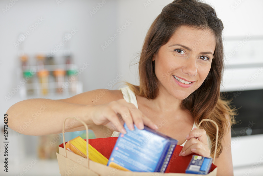 portrait of beautiful woman grocery with shopping bags portrait of beautiful woman grocery with shopping bags