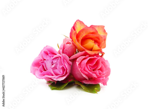 Fototapeta Naklejka Na Ścianę i Meble -  Three pink flowers.