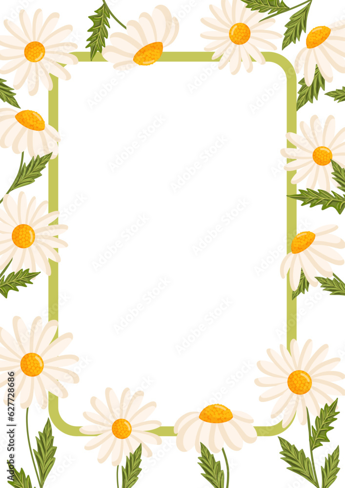 Vector frame for postcard or poster with daisies. Chamomile floral illustration for congratulations or decor etc. Flowers for spring and summer holidays. Festive template can add text.