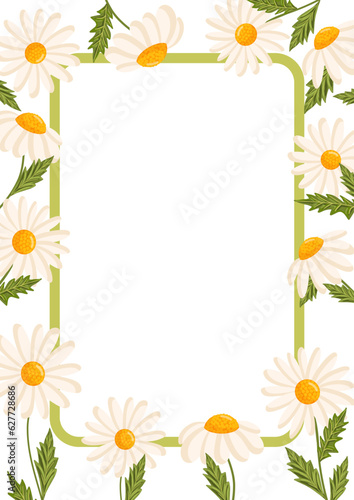 Vector frame for postcard or poster with daisies. Chamomile floral illustration for congratulations or decor etc. Flowers for spring and summer holidays. Festive template can add text. © Irina Anashkevich