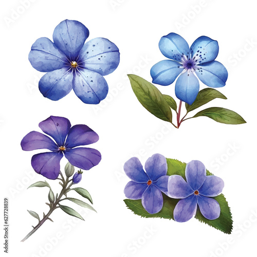  Periwinkle flower watercolor paint collection