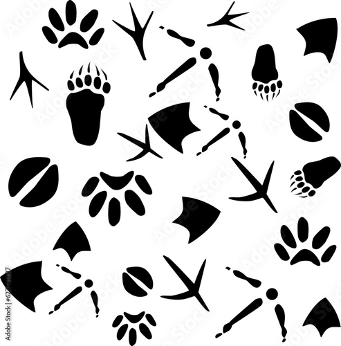pattern with traces of various animals and birds.