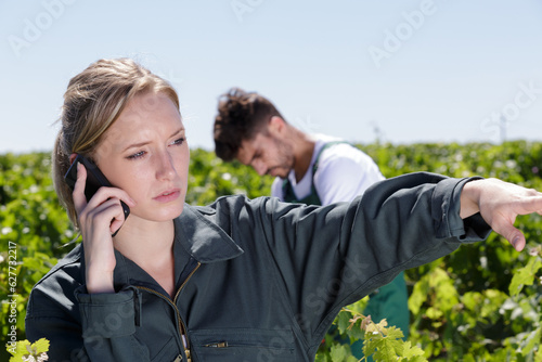 Fotografi female vintner talking on mobile phone in vineyard