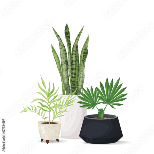 Composition of trendy tropical flowers, leaves in pots. Home decor. Print on flower shop