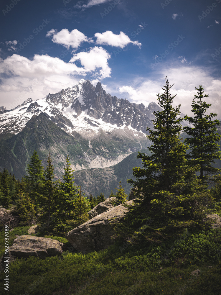 Chamonix portrait