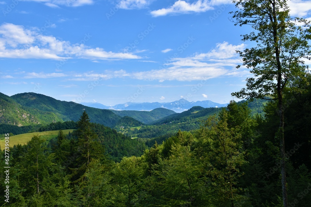 Fototapeta premium Forest covered valley and hills in Gorenjska, Slovenia with Storzic mountain