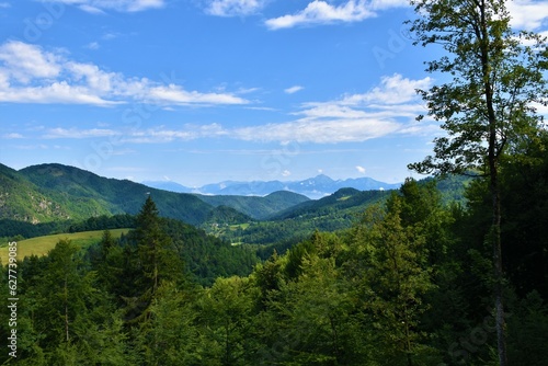 Forest covered valley and hills in Gorenjska  Slovenia with Storzic mountain