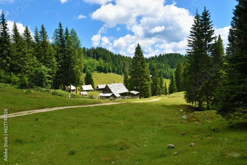 Meadow with old wooden huts and conifer spruce forest at Pokljuka, Slovenia