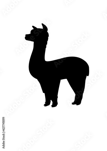 alpaca alpaga