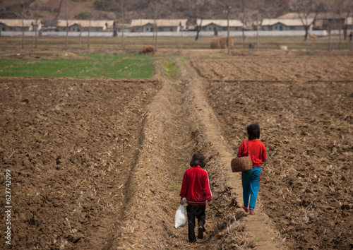 North Korean girls working in the fields, Pyongan Province, Pyongyang, North Korea