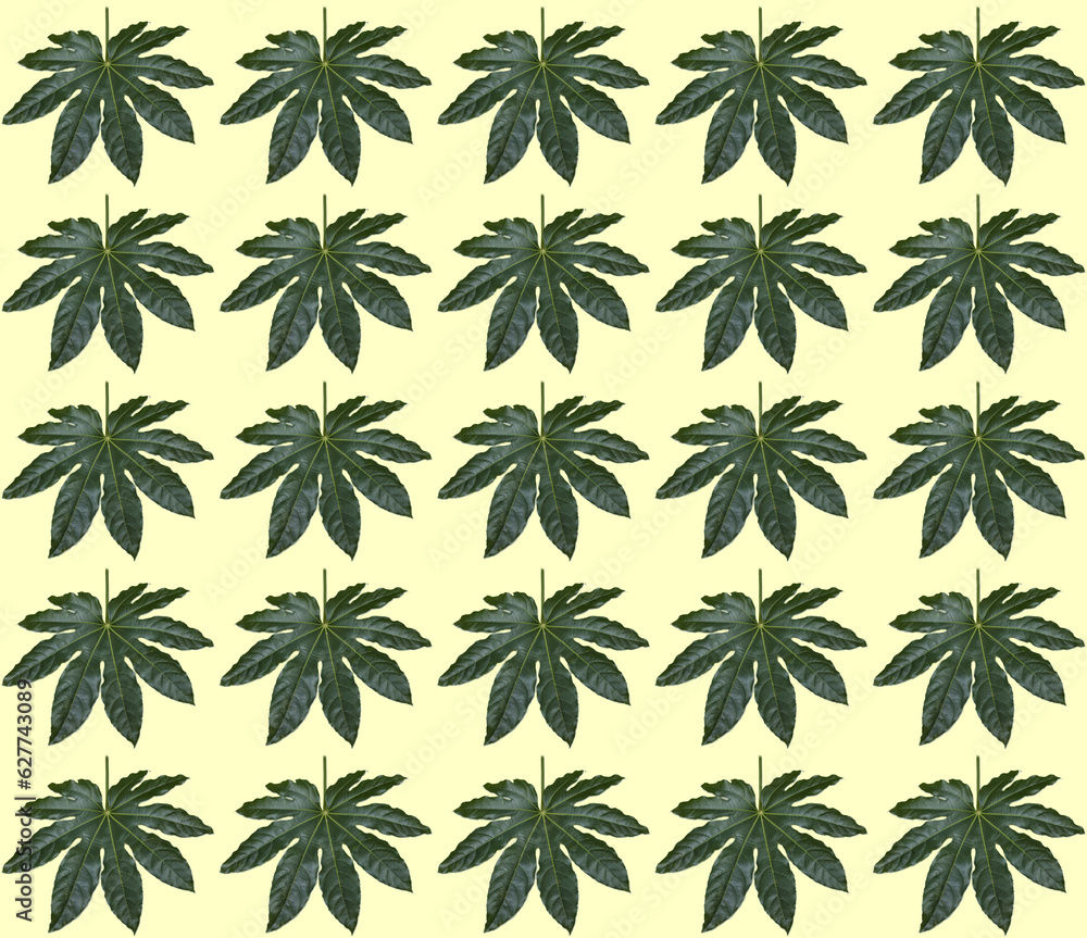 Pattern of aralia leaves on yellow background. Pattern of aralia leaves on yellow background.