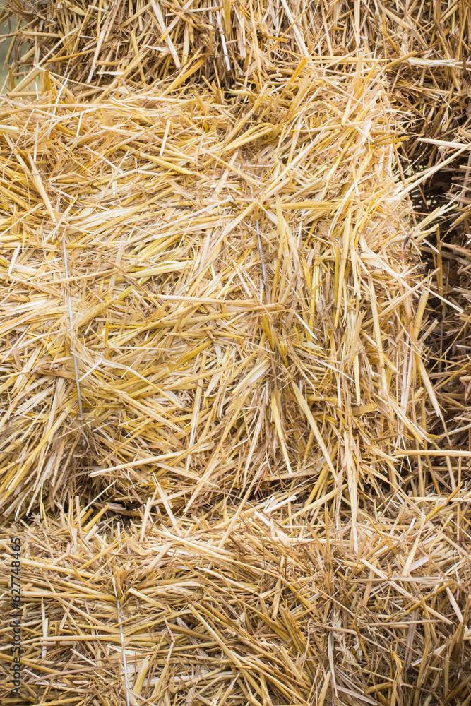 Bales of hay or straw. Background or wallpaper texture Bales of hay or straw. Background or wallpaper texture