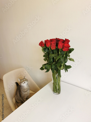 The cat sits on an armchair next to a bouquet of red roses in a glass vase on the table.