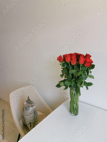 The cat sits on an armchair next to a bouquet of red roses in a glass vase on the table.