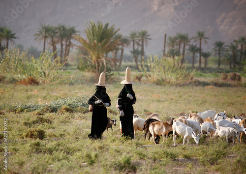 Hadramaut women with full black dresses, gloves and high hats; The high hats are supposed to bring fresh air to the head; Yemen; photo