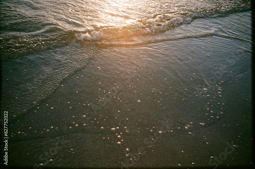 Beach film