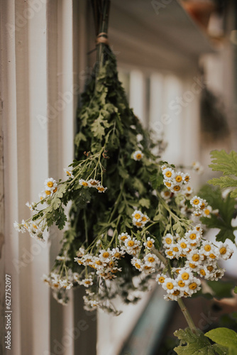 Chamomile flowers