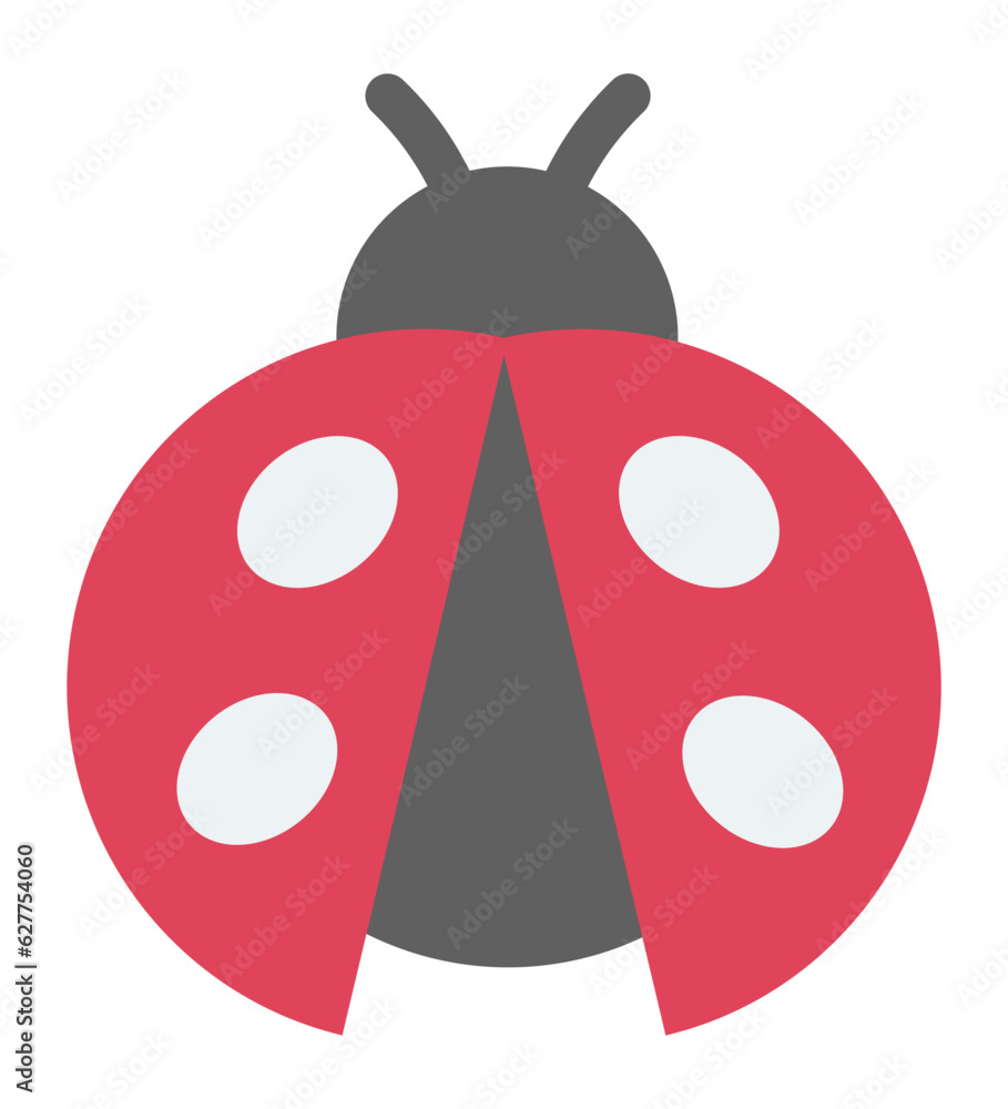 Cute ladybug Illustration