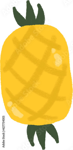 Colorful Pineapple 