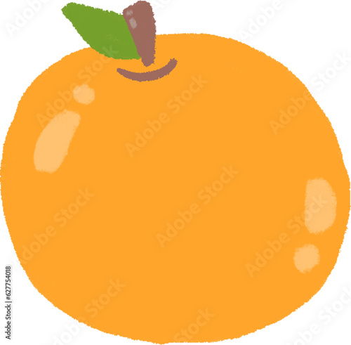 illustration of orange fruit