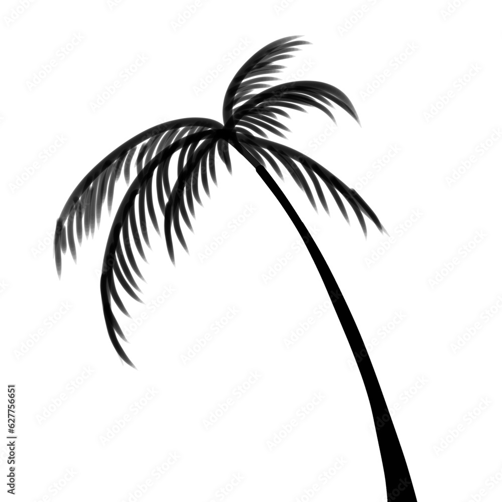 Obraz premium beach coconut