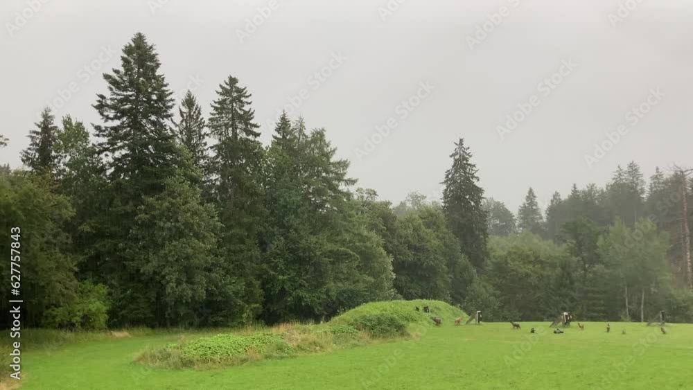 Heavy rain, lightning and thunder in the forest of the bavarian alpine foothills with an archery range, near Siegsdorf, Bavaria, Germany Heavy rain, lightning and thunder in the forest of the bavarian alpine foothills with an archery range, near Siegsdorf, Bavaria, Germany