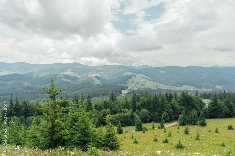 Green Ukrainian mountains. Summer time. Beautiful views of the largest peaks.