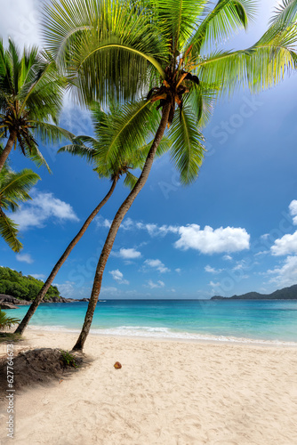 Sunny tropical white sand beach with coconut palm trees and turquoise sea. Summer vacation and tropical beach concept.