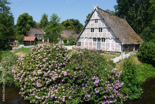 Bauernhaus und Rhododendron im Freilichtmuseum Stade