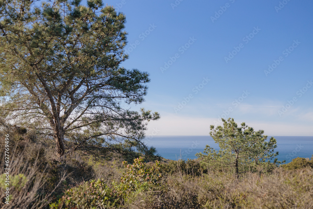 Scenic view over Torrey Pines State Natural Reserve San Diego California