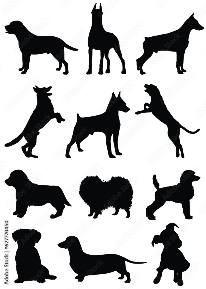 Dog puppy pets silhouette collection