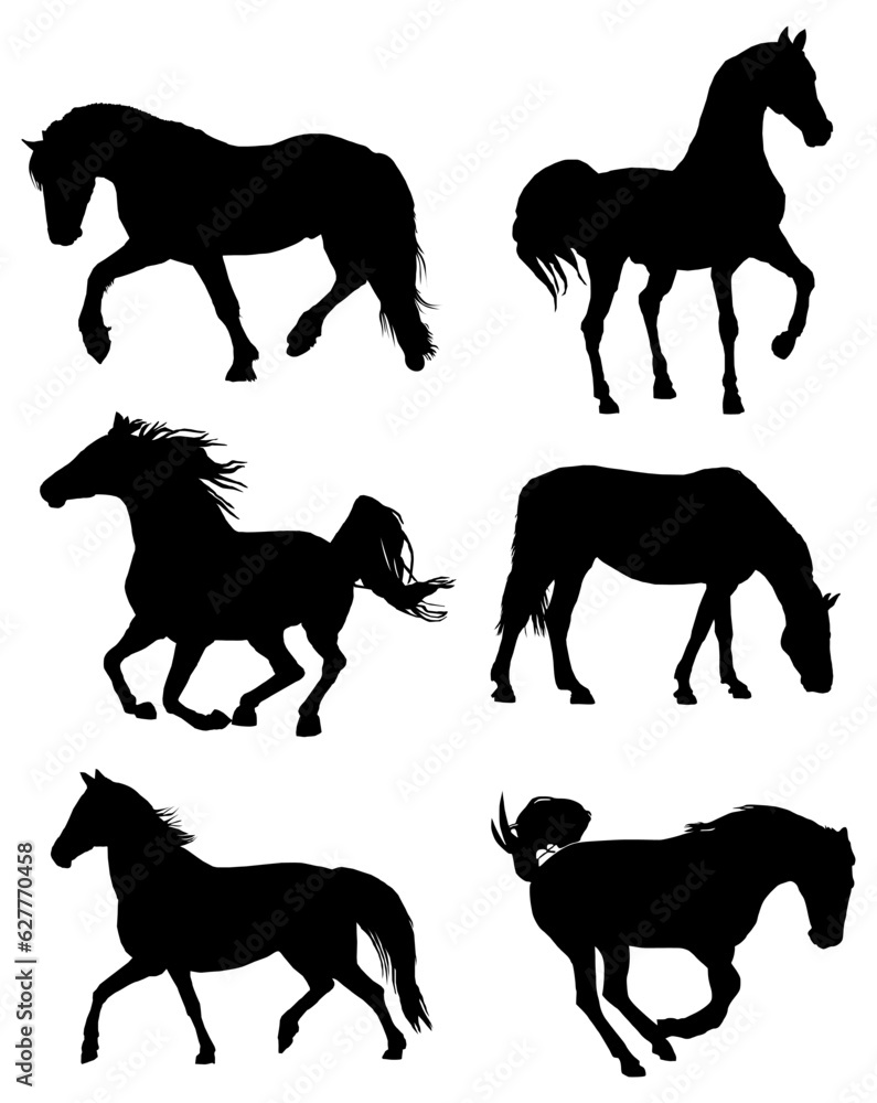 Horse pony equine silhouette set 