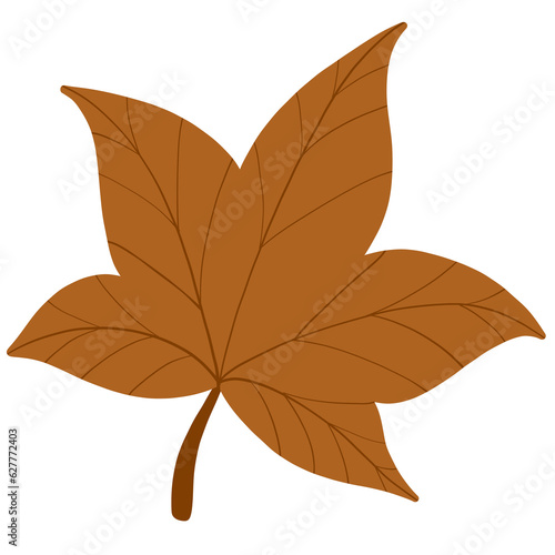 Leaf