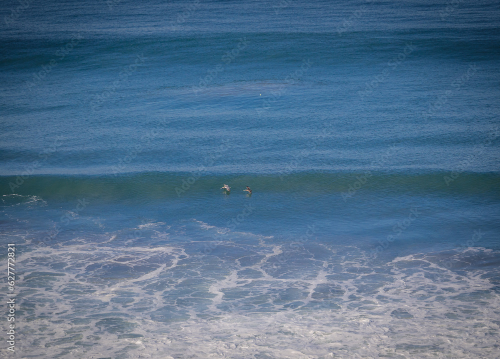 View of the Pacific Ocean from Torrey Pines San Diego with Dolphins or Whales View of the Pacific Ocean from Torrey Pines San Diego with Dolphins or Whales