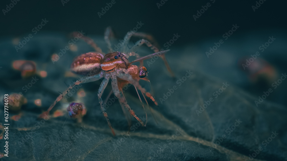 Macro pictures with ants having dinner