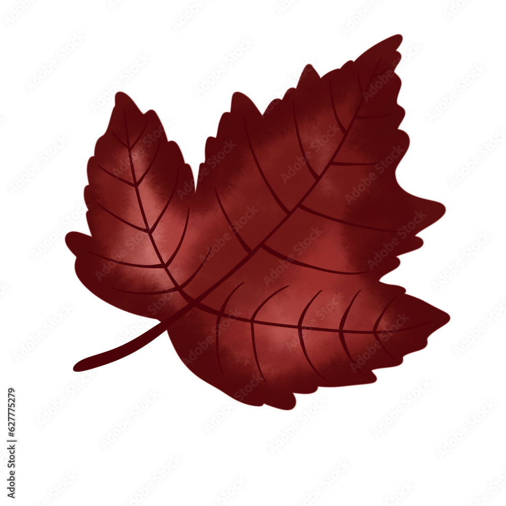 Obraz premium Autumn leaves