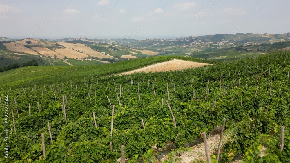 Europe, Italy, Oltrepo' Pavese Montalto - drone aerial view of amazing landscape countryside nature with vineyard production of vine area near Broni between Lombardy e Tuscany region 