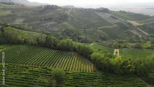 Europe, Italy, Oltrepo' Pavese Montalto - drone aerial view of amazing landscape countryside nature with vineyard production of vine area near Broni between Lombardy e Tuscany region  photo