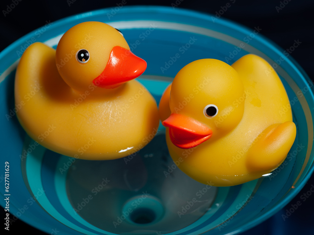 Ducky Photoshoot Ducky Photoshoot