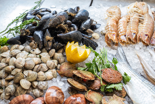 Pesci del Golfo di Trieste