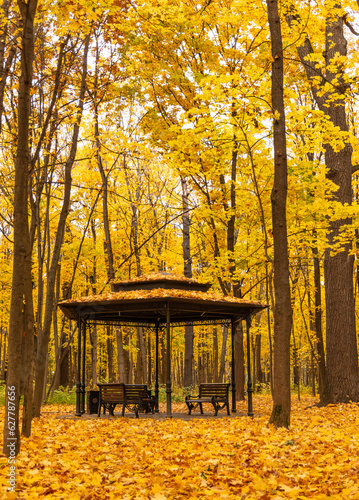 Gazebo with benches for relaxing in the autumn park photo