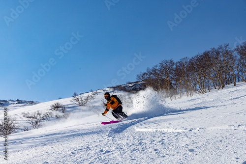 Backcountry powder skiing in Japan
