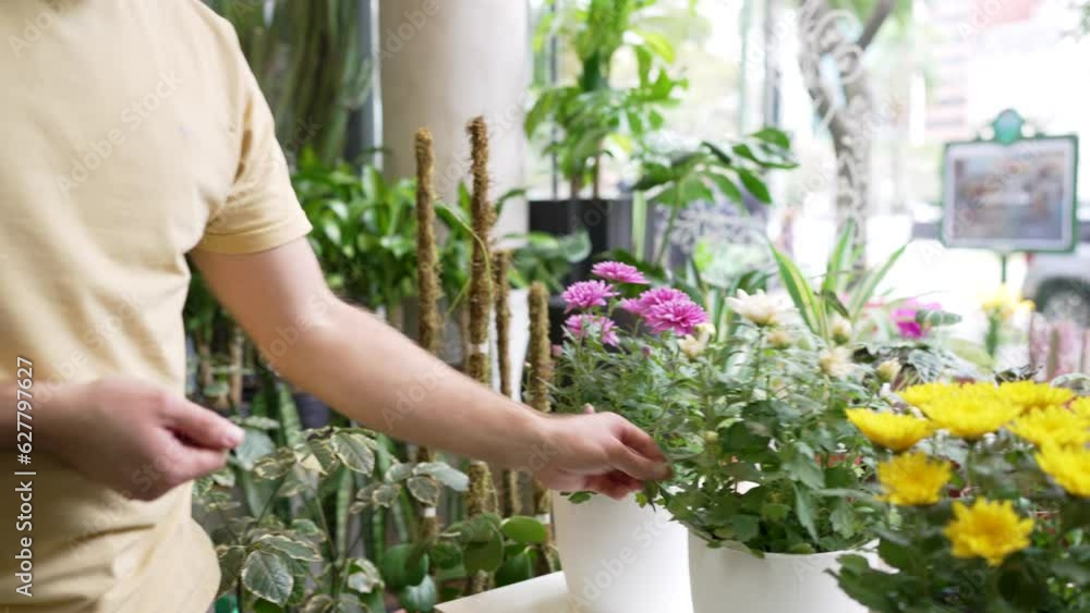 owner employee of a plant store ordering and checking his potted plants owner employee of a plant store ordering and checking his potted plants