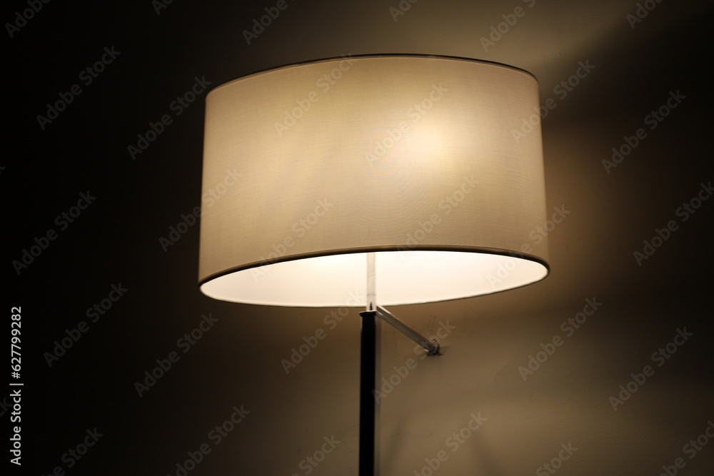 Ceiling lamp to illuminate the room at night. Ceiling lamp to illuminate the room at night.