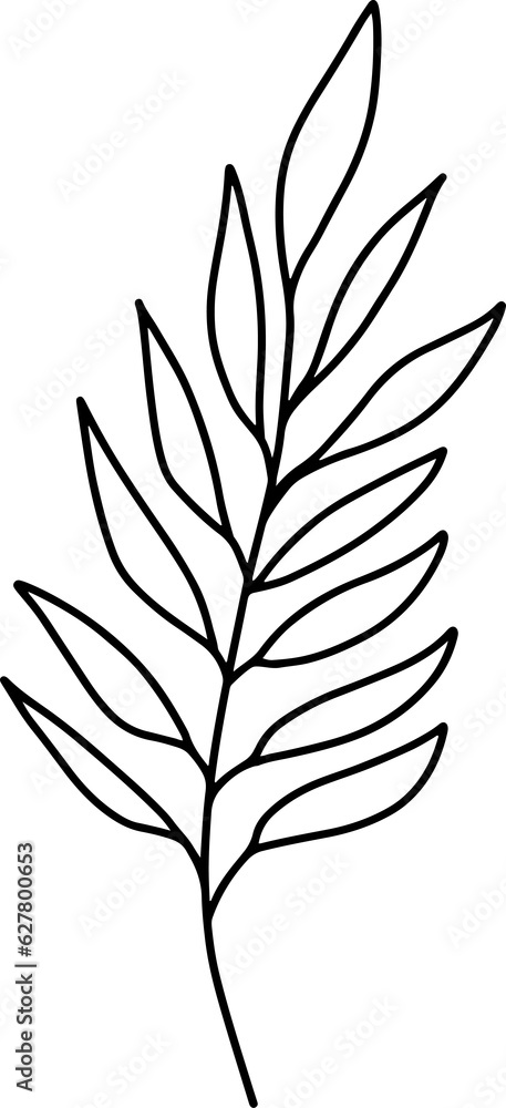Fototapeta premium Doodle leaves. Greenery element doodle coloring page illustration