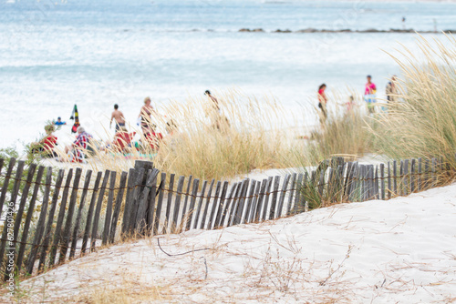 Sand fence to avoid erosion in Calvi Corsica at the mediterranean sea photo