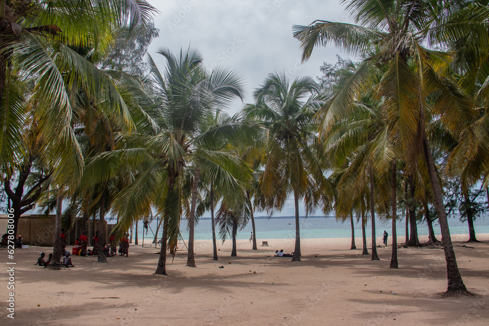 Green coconut palm trees on white sandy beach near Pemba city in Mozambique, shore of Indian Ocean