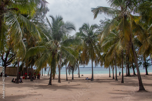 Green coconut palm trees on white sandy beach near Pemba city in Mozambique  shore of Indian Ocean