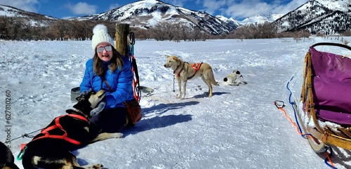 Bild auf Leinwand Female Gearing Up with Huskies for Dog Sledding